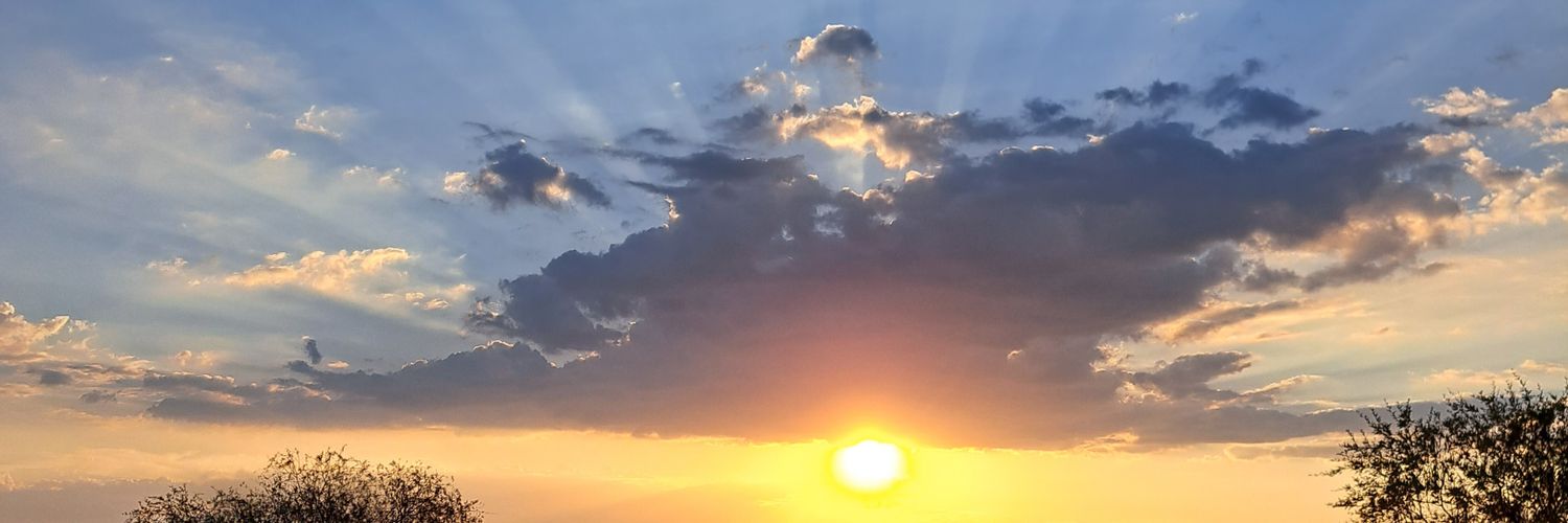 ferchaags's profile banner image