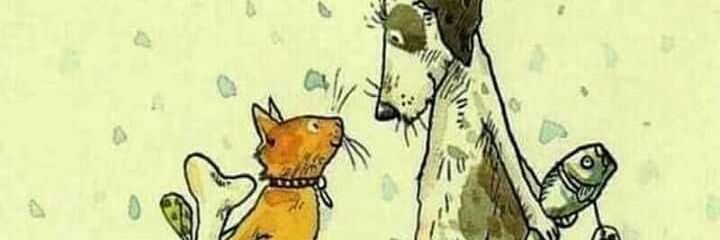 AngiMezaV's profile banner image