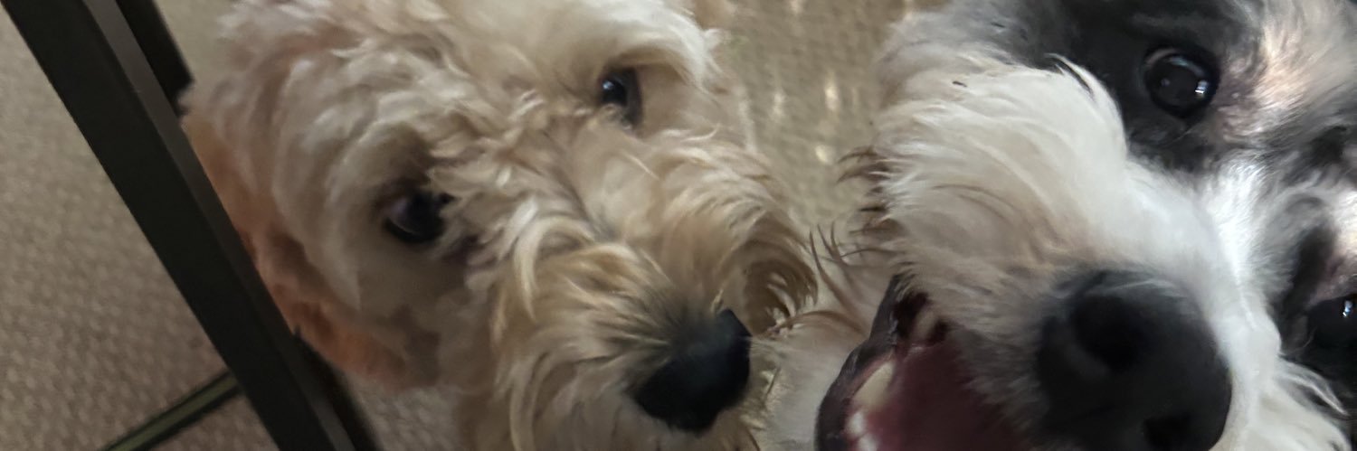 Ms. Shuster BES banner