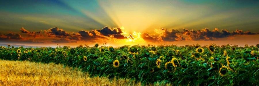 goodquot3's profile banner image