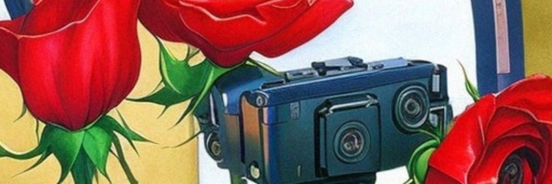 RedRoseViewer's profile banner image