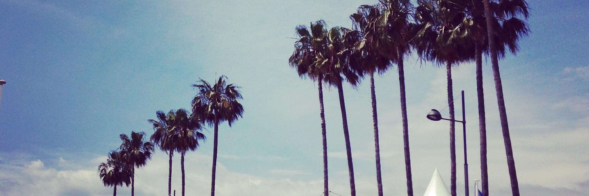 fydopr's profile banner image