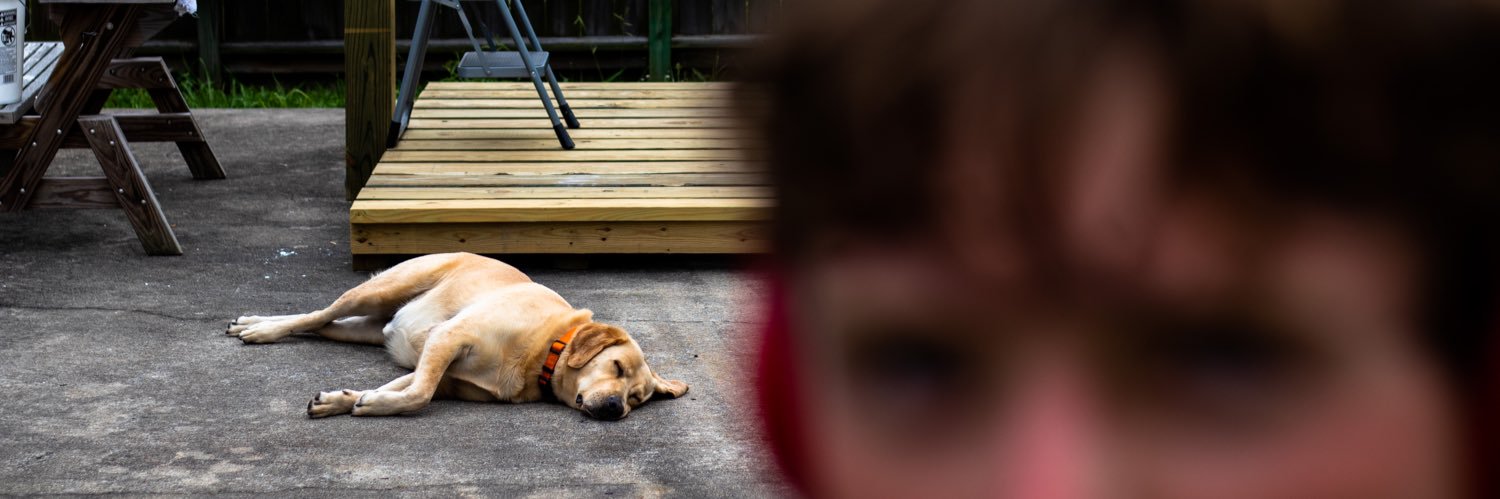 TheBeefyman's profile banner image