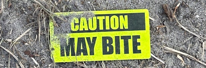 baileyhoover23's profile banner image