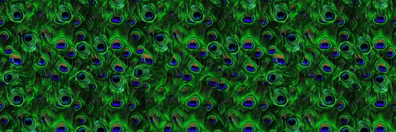 rachel_roo's profile banner image