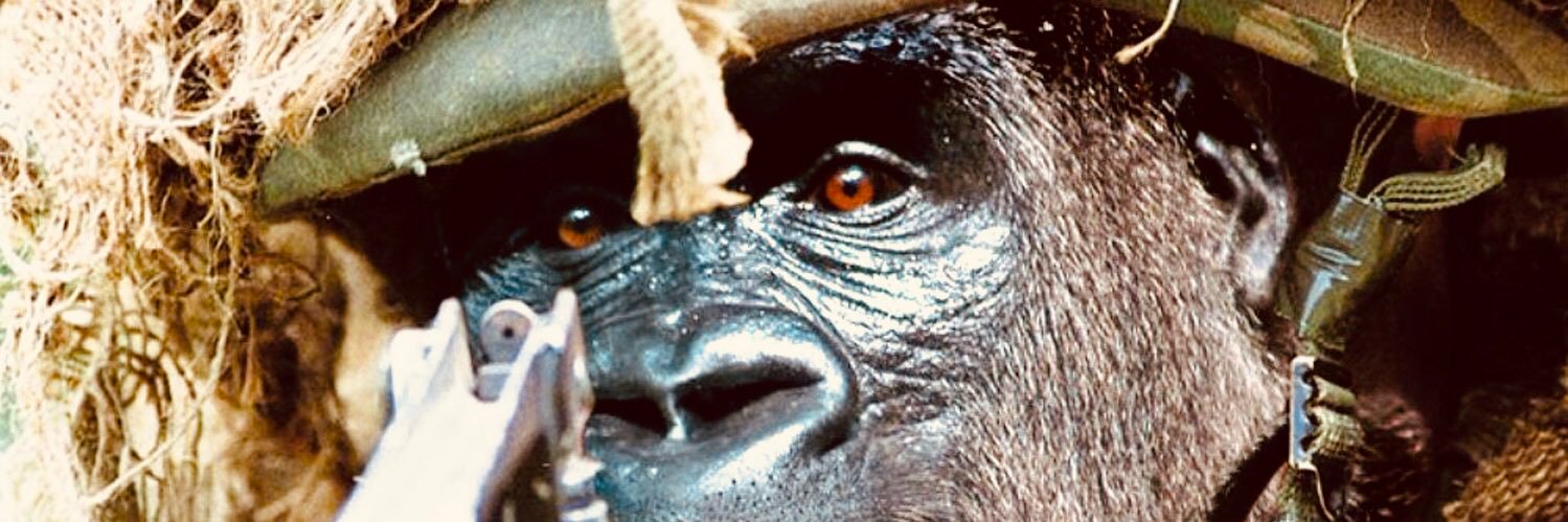 Guerrilla Warfare banner