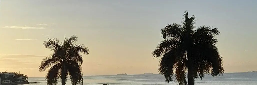 Kat_s507's profile banner image