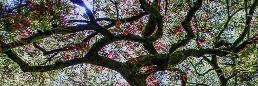 sandykcombs's profile banner image