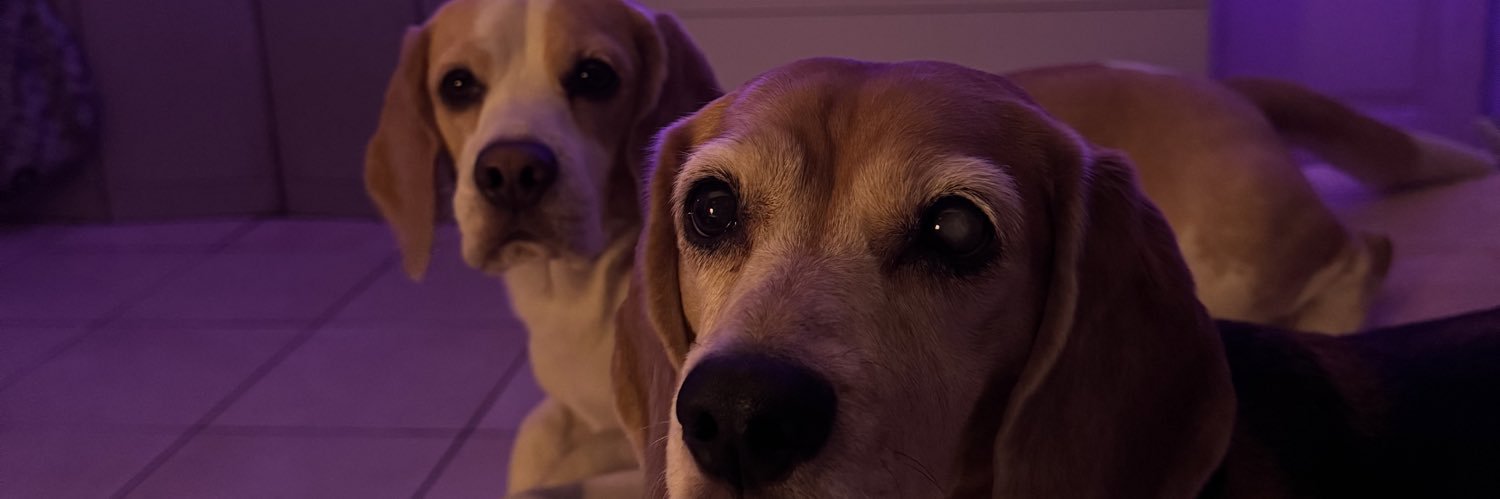 PaoPatino's profile banner image
