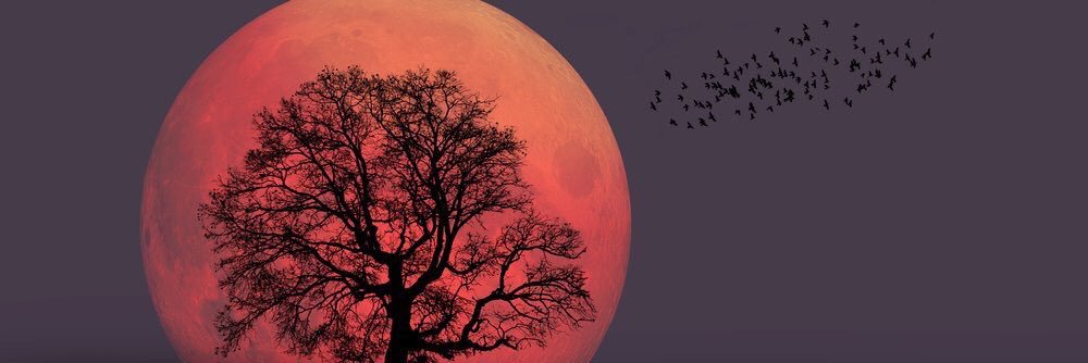 clouds_54's profile banner image