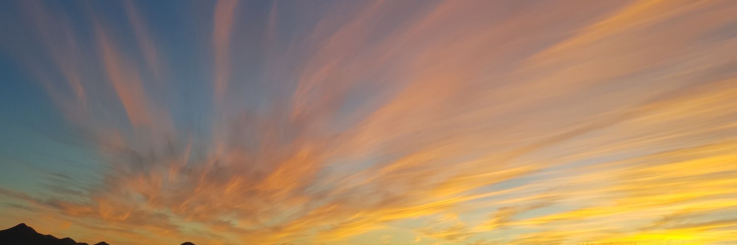 CarlosFuAP's profile banner image
