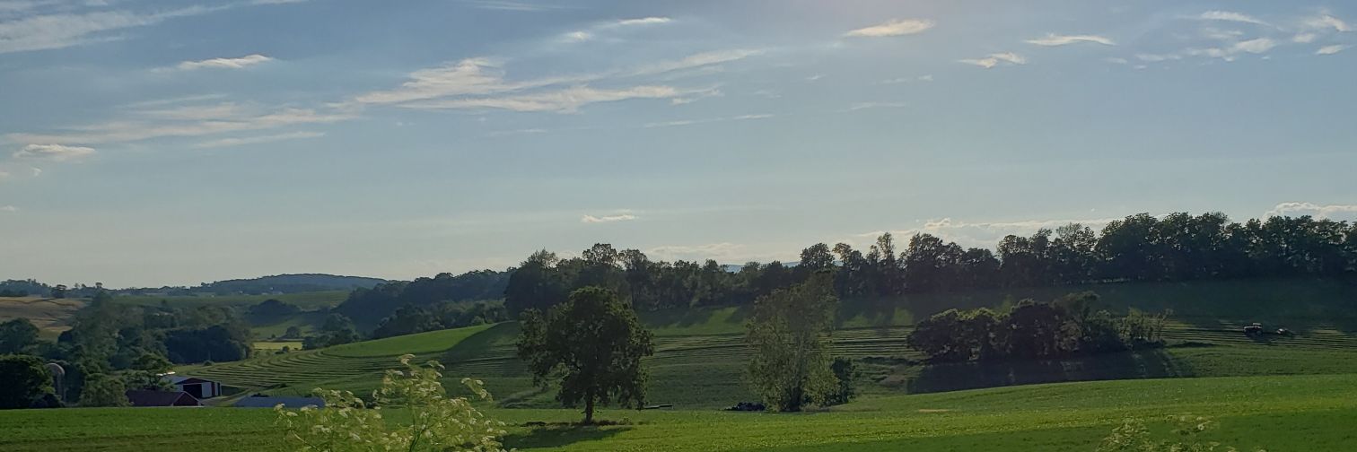 lalaimpala's profile banner image