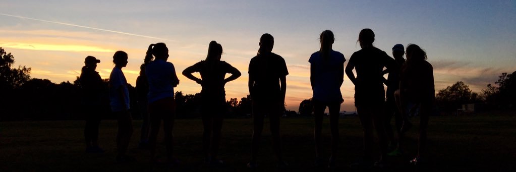 m_coney_2's profile banner image