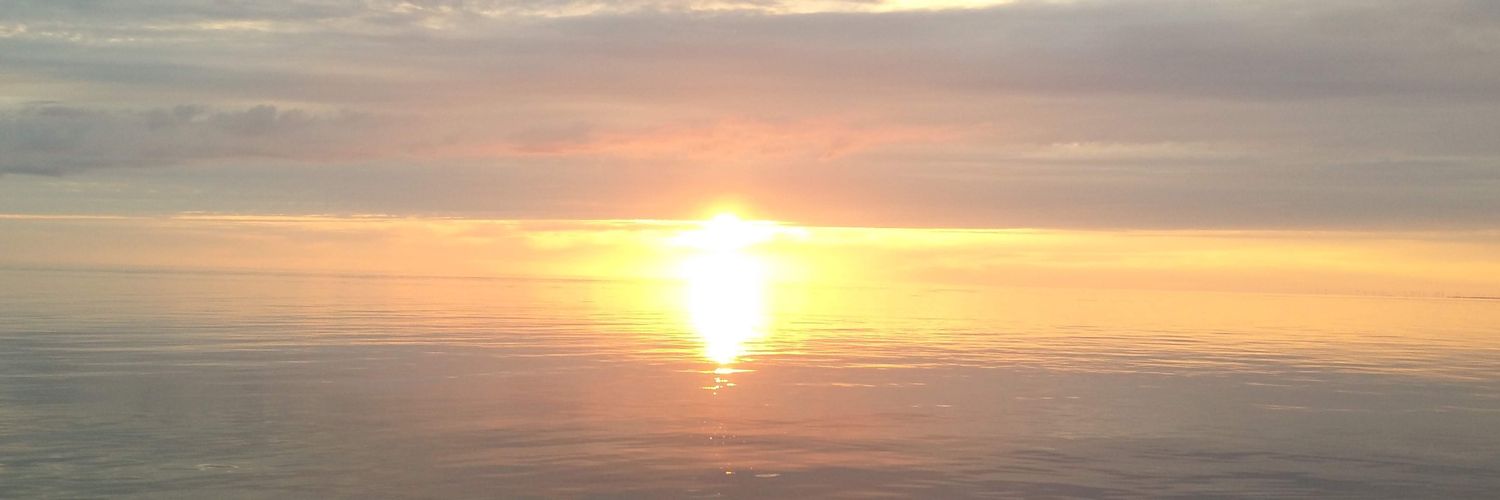 dbecks89's profile banner image