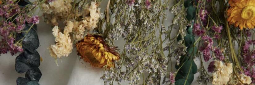EatingSprinkles's profile banner image