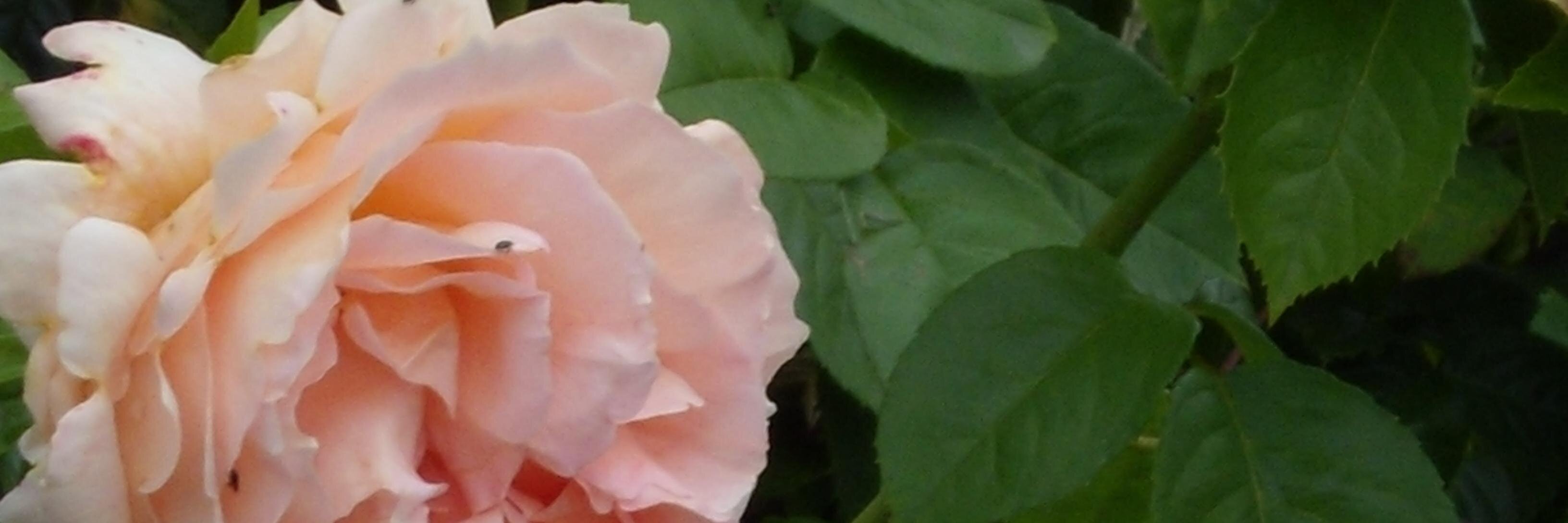 svasudevan65's profile banner image