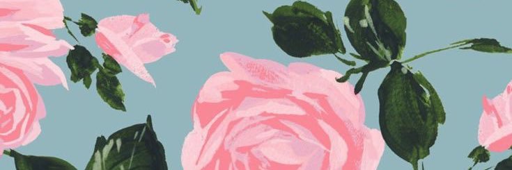 RaCheChe123's profile banner image