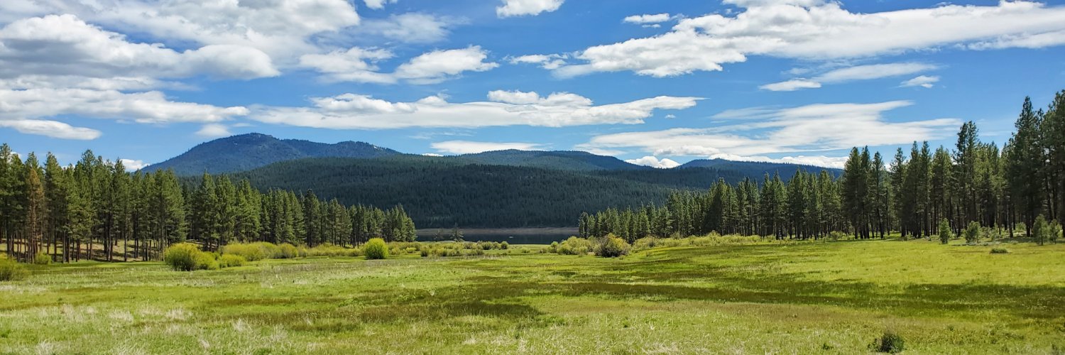 Hannah Ray Lambert banner