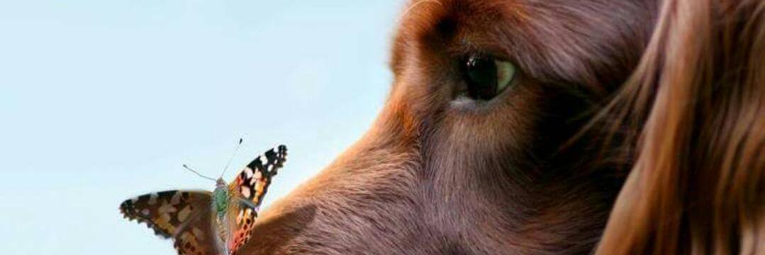 _M8cornejoC's profile banner image