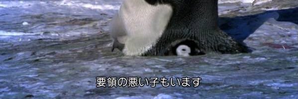 Pemaru_22's profile banner image