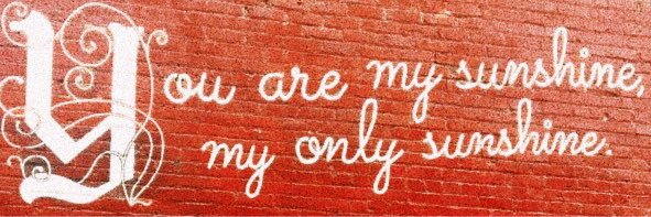 audrey_c_'s profile banner image