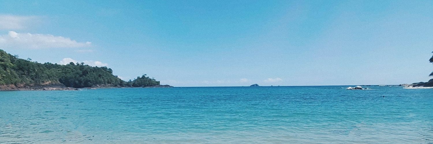 ceexs_'s profile banner image