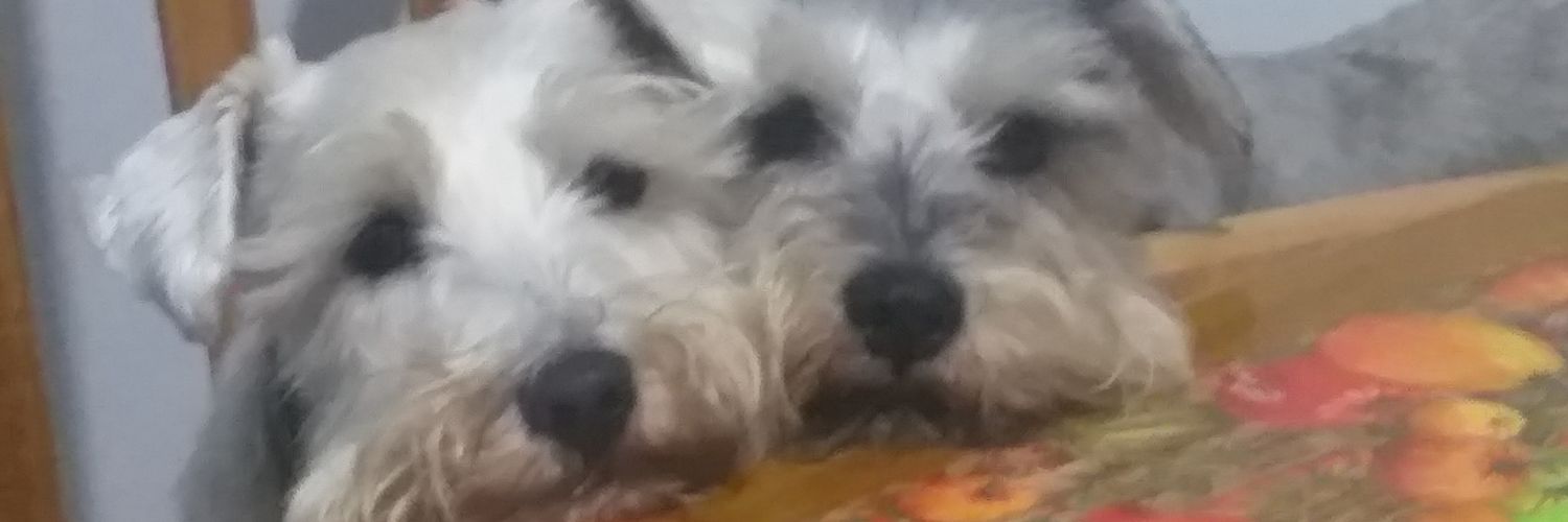 MafeblancoC's profile banner image