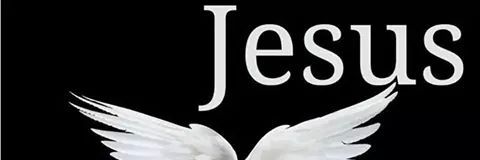 trieka205's profile banner image