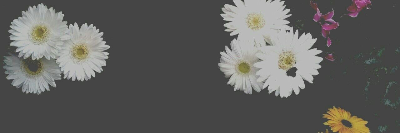damian5429's profile banner image