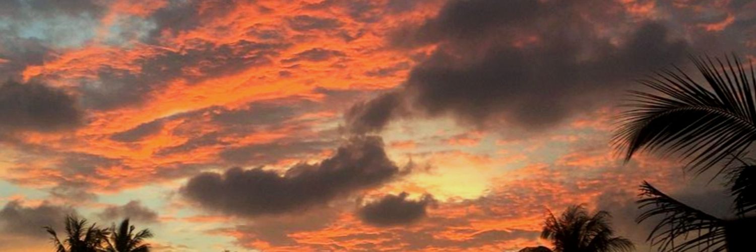 vane_g banner