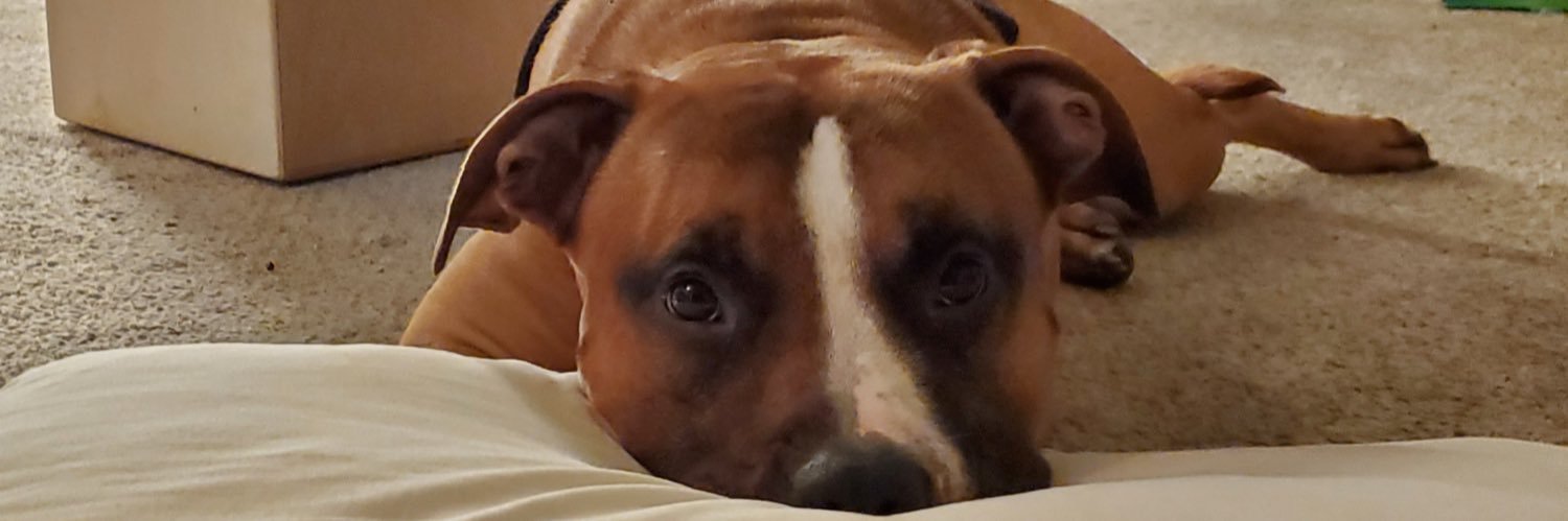 BerryBangster's profile banner image