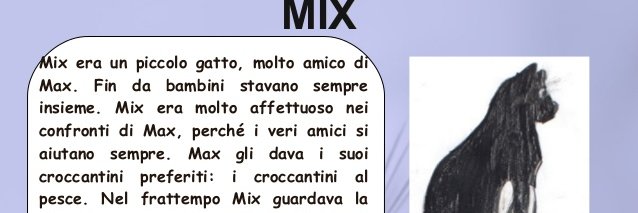 GattoMixTw's profile banner image