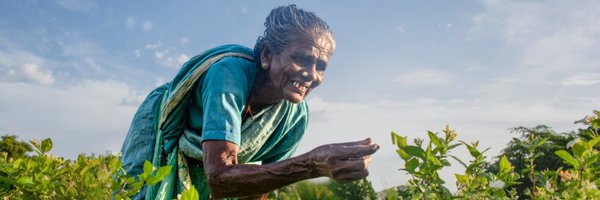 People's Archive of Rural India Profile Banner