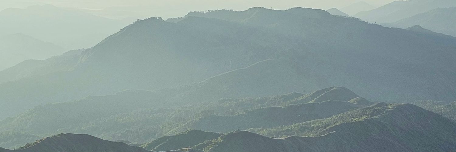 Lapewda's profile banner image
