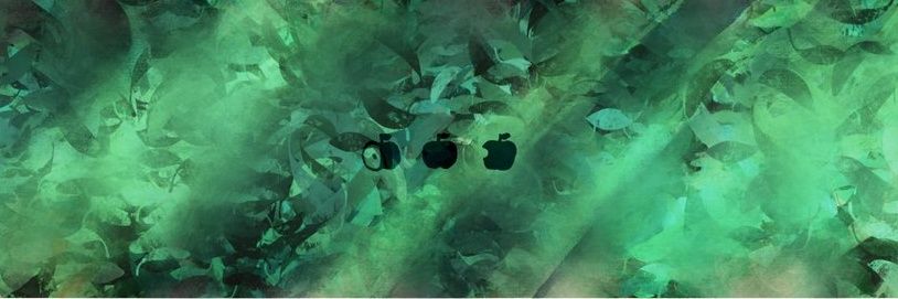 kucchane95's profile banner image