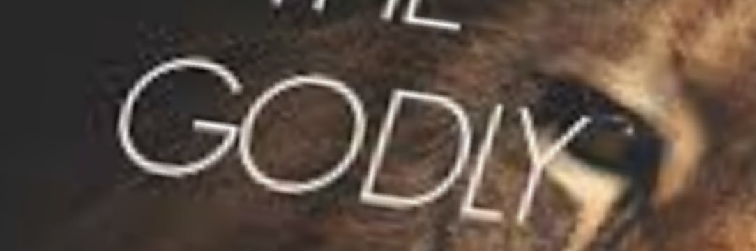 ycry7's profile banner image