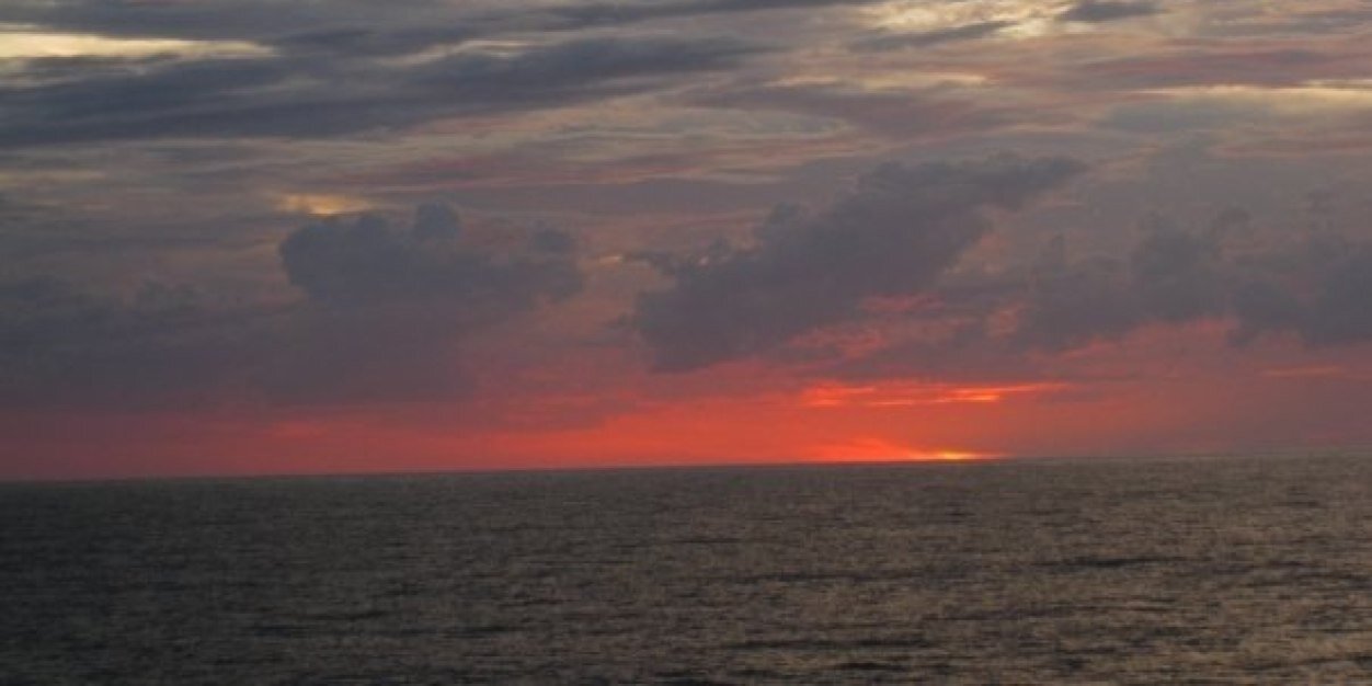 lawyer_adjacent banner