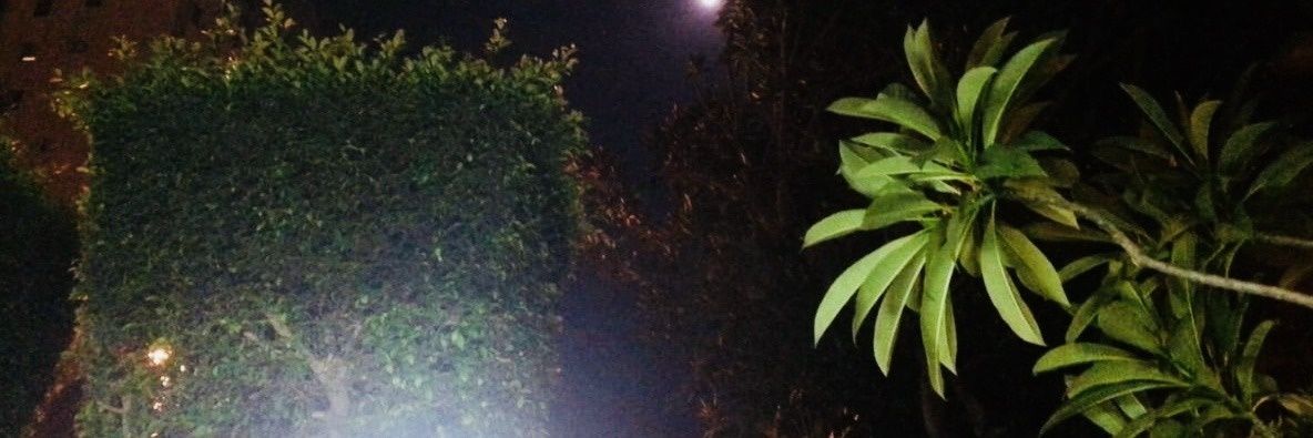 Hollystrid7's profile banner image