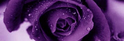 MsRere927's profile banner image