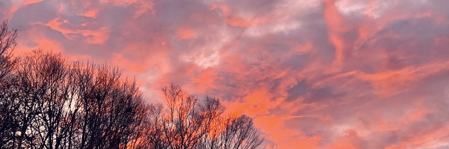 jesskale11's profile banner image