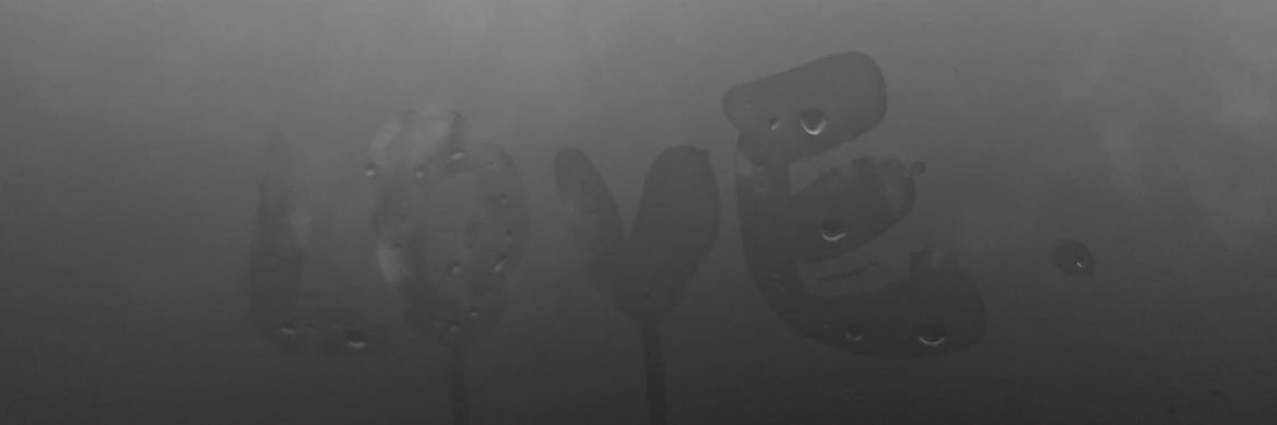 __yukastyle__'s profile banner image