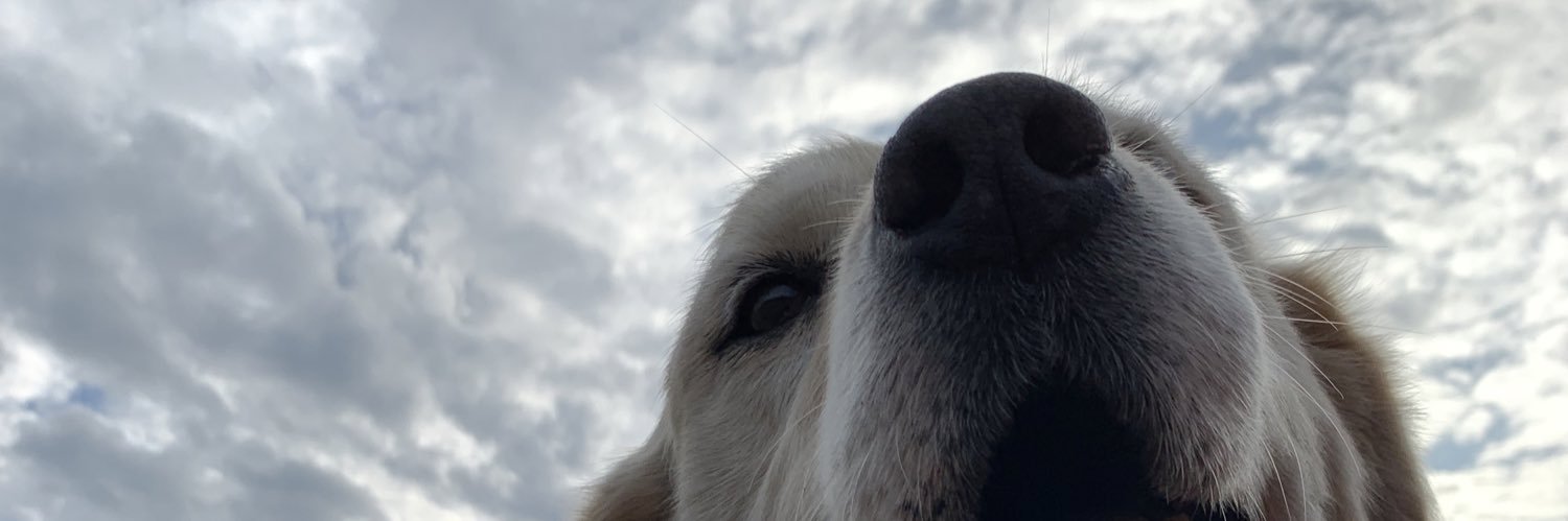 JeanBrownR's profile banner image