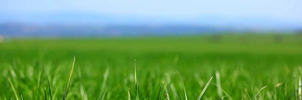dhi765's profile banner image