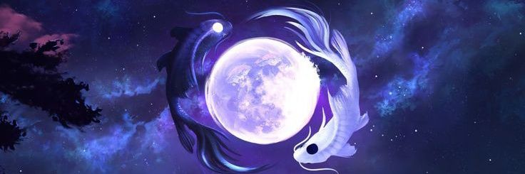 miryune's profile banner image