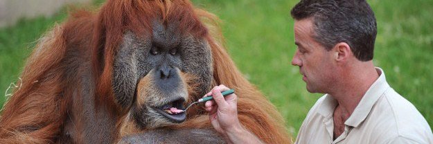 Socklessmonkey's profile banner image