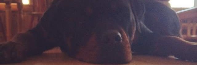 DrAshMo's profile banner image