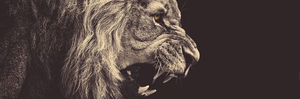 lassxo's profile banner image