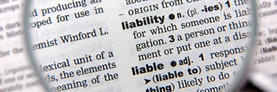 ZERO LIABILITY FORM banner