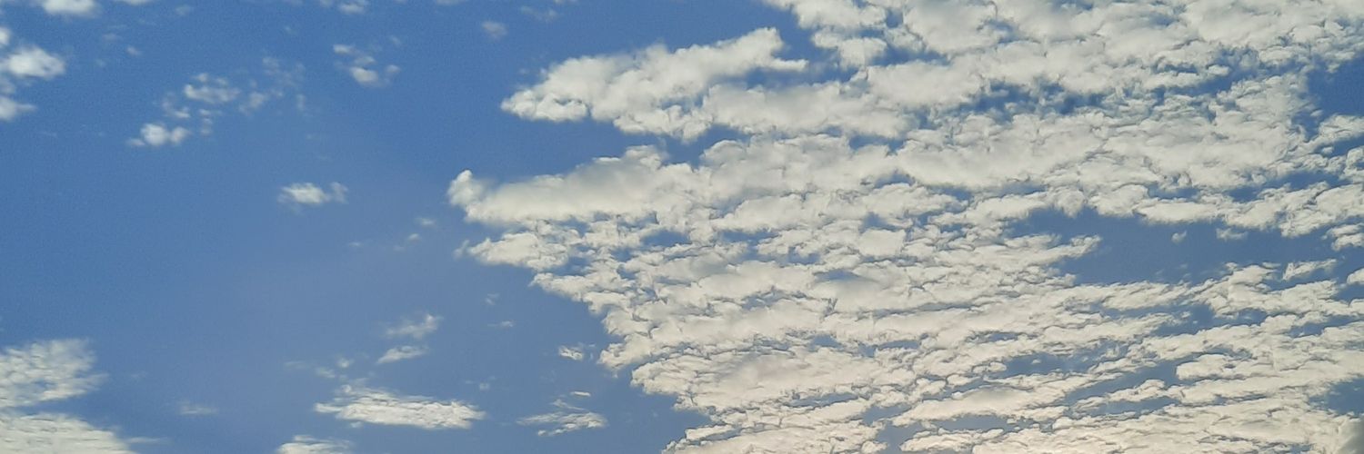 sara__frs's profile banner image