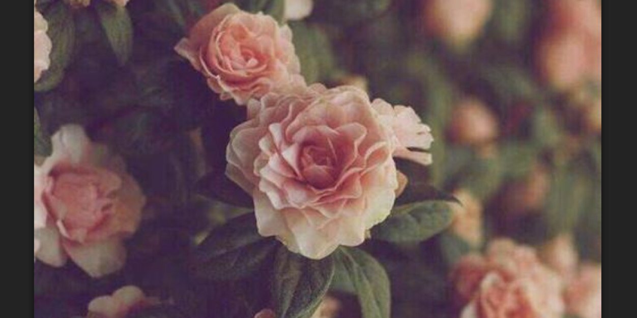 Magda_G's profile banner image